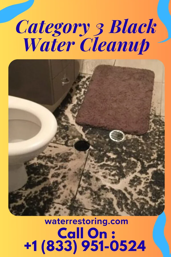 Category 3 Black Water Cleanup in Peñasco, NM